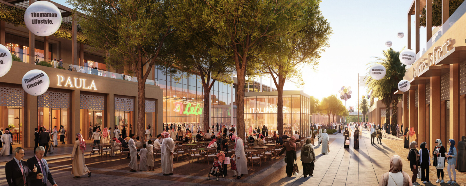 صورة المشروع 3